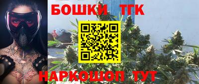 тгк Жуковский