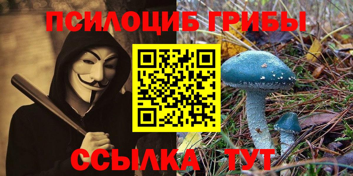 Кунгур  Псилоцибиновые грибы Magic Shrooms  Псилоцибиновые грибы Psilocybine cubensis  купить наркотик  Вход с VPN 